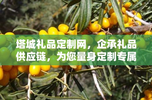 塔城礼品定制网，企承礼品供应链，为您量身定制专属礼品
