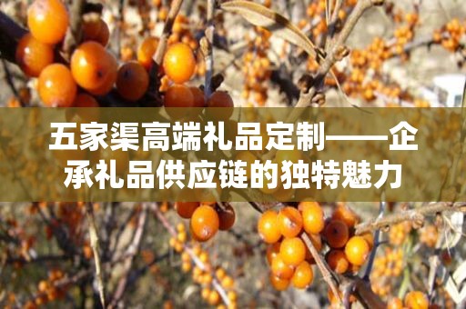 五家渠高端礼品定制——企承礼品供应链的独特魅力
