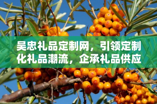 吴忠礼品定制网，引领定制化礼品潮流，企承礼品供应链助力商务发展