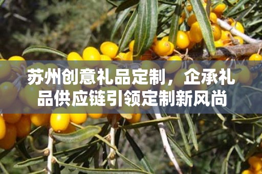苏州创意礼品定制，企承礼品供应链引领定制新风尚