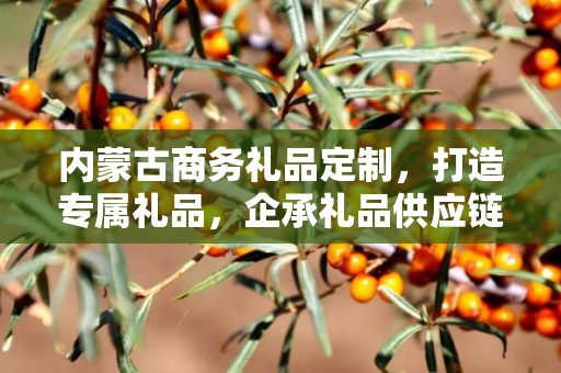 内蒙古商务礼品定制，打造专属礼品，企承礼品供应链助力商务往来